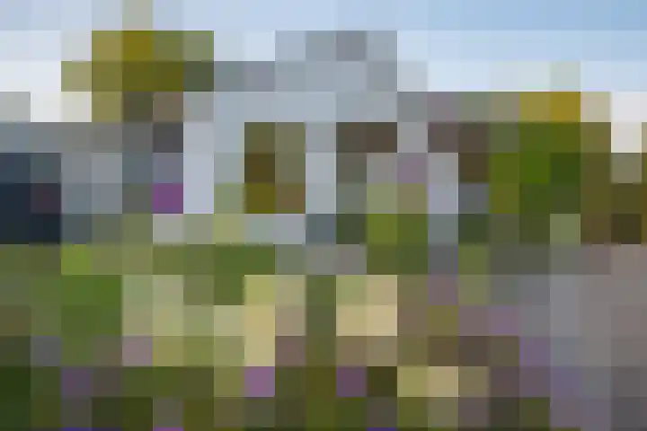 Het Zwiggelterveld 41 Zwiggelte thumbnail 56