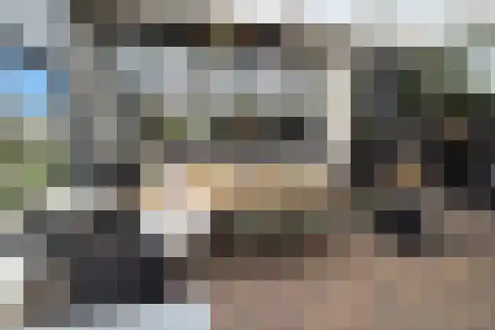 Het Zwiggelterveld 41 Zwiggelte thumbnail 59