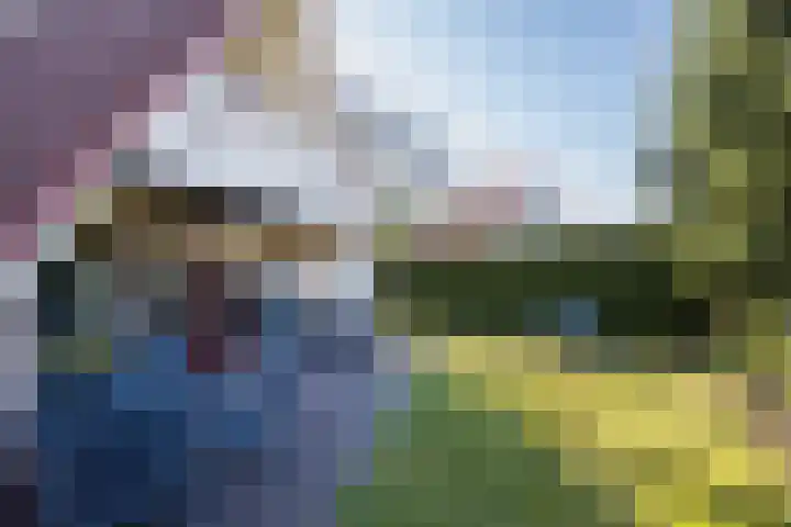 Het Zwiggelterveld 41 Zwiggelte thumbnail 6