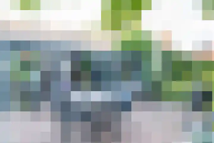 Het Zwiggelterveld 41 Zwiggelte thumbnail 60