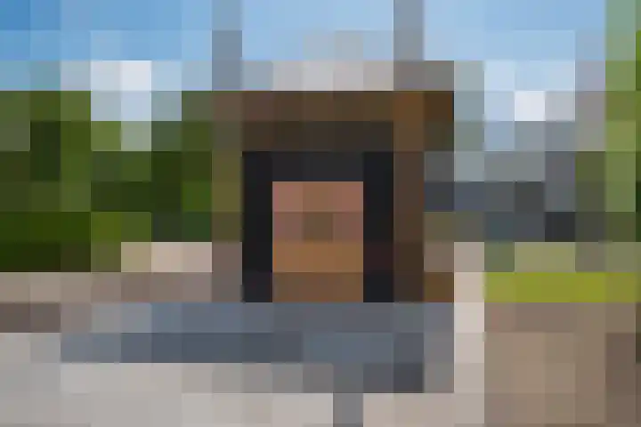 Het Zwiggelterveld 41 Zwiggelte thumbnail 64