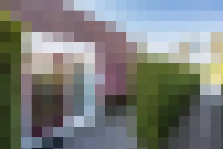 Het Zwiggelterveld 41 Zwiggelte thumbnail 7
