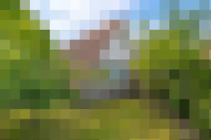 Het Zwiggelterveld 44 Zwiggelte thumbnail 10