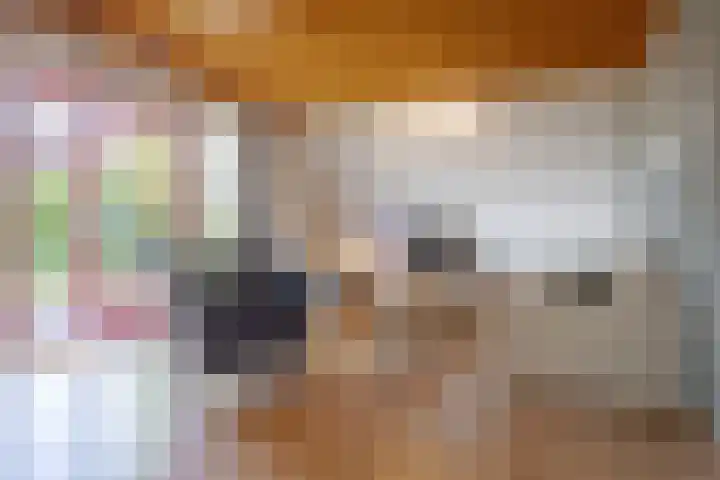 Het Zwiggelterveld 44 Zwiggelte thumbnail 13