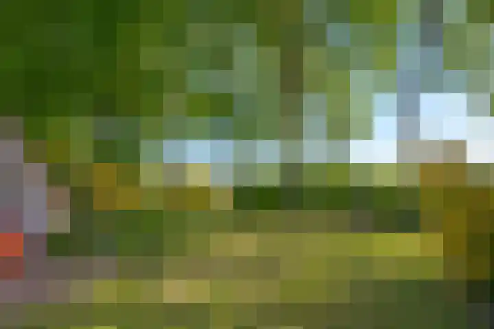 Het Zwiggelterveld 44 Zwiggelte foto 2
