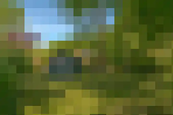 Het Zwiggelterveld 44 Zwiggelte foto 3
