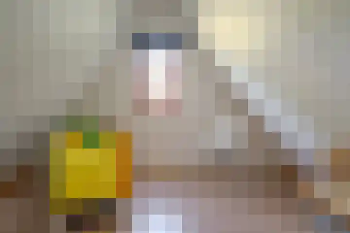 Het Zwiggelterveld 44 Zwiggelte thumbnail 33