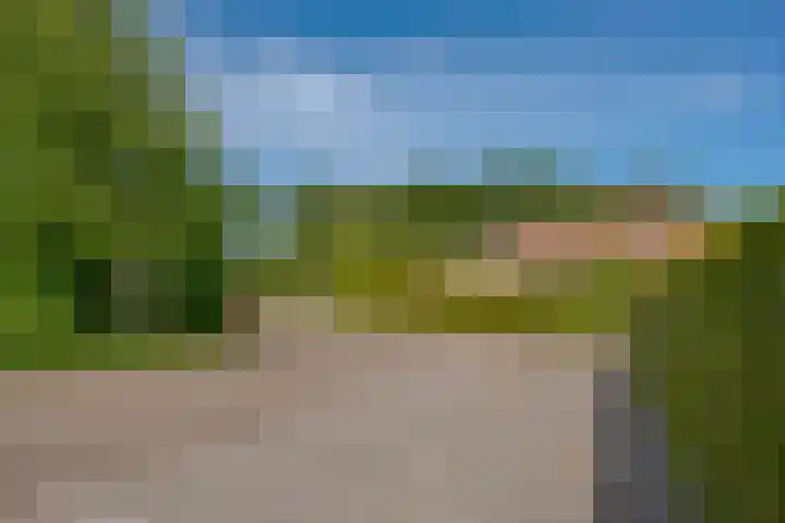 Het Zwiggelterveld 44 Zwiggelte thumbnail 36