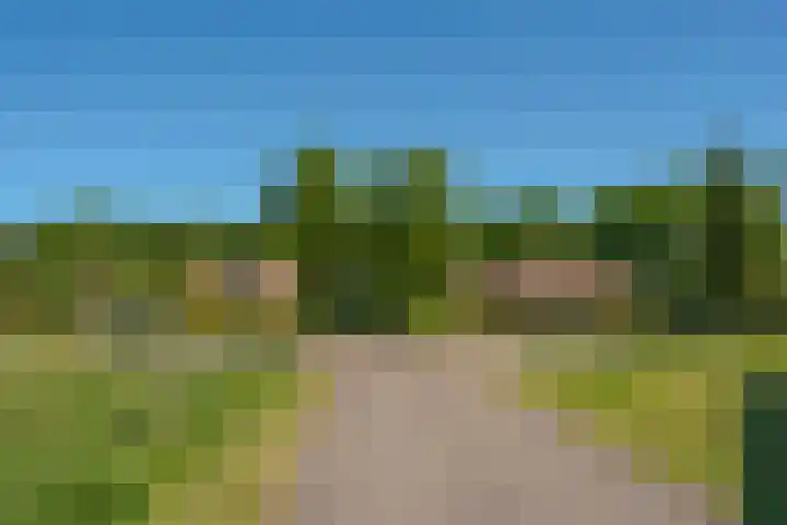 Het Zwiggelterveld 44 Zwiggelte thumbnail 37