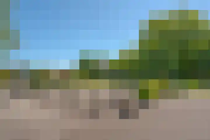 Het Zwiggelterveld 44 Zwiggelte thumbnail 38