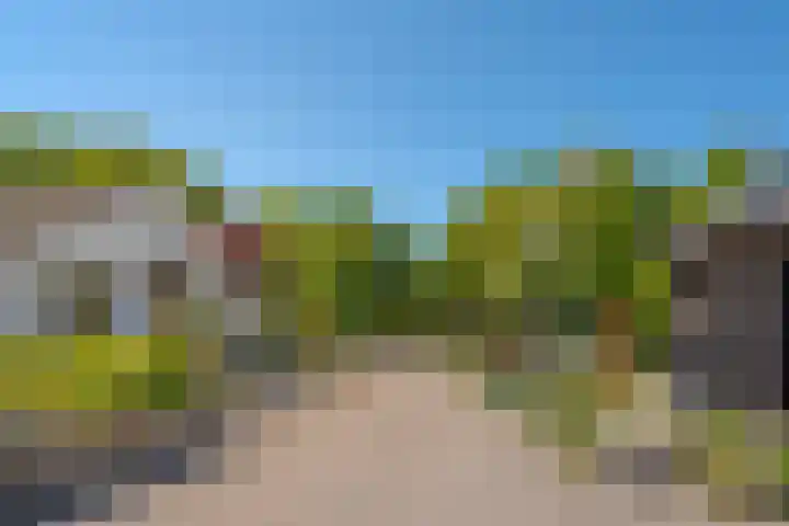 Het Zwiggelterveld 44 Zwiggelte thumbnail 39