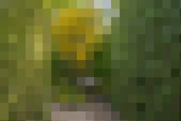 Het Zwiggelterveld 44 Zwiggelte thumbnail 4