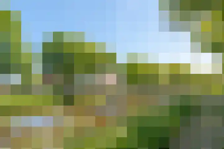 Het Zwiggelterveld 44 Zwiggelte thumbnail 40