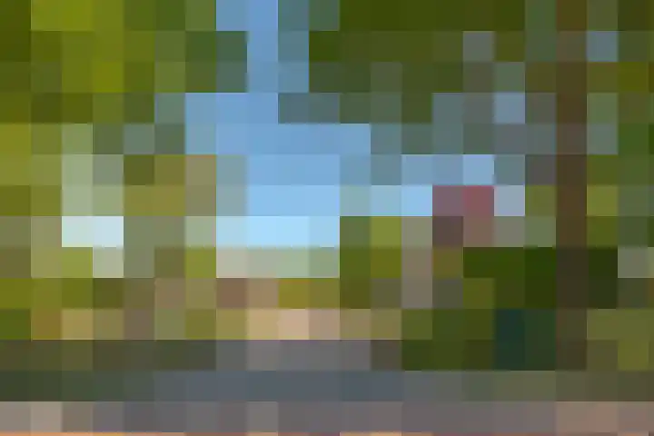 Het Zwiggelterveld 44 Zwiggelte thumbnail 41