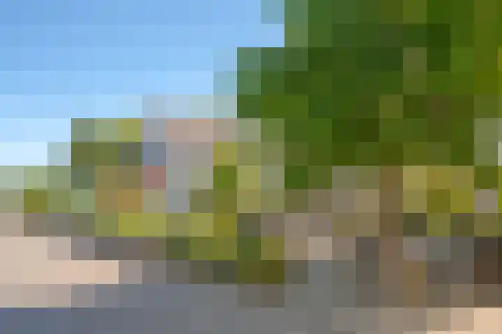Het Zwiggelterveld 44 Zwiggelte thumbnail 42