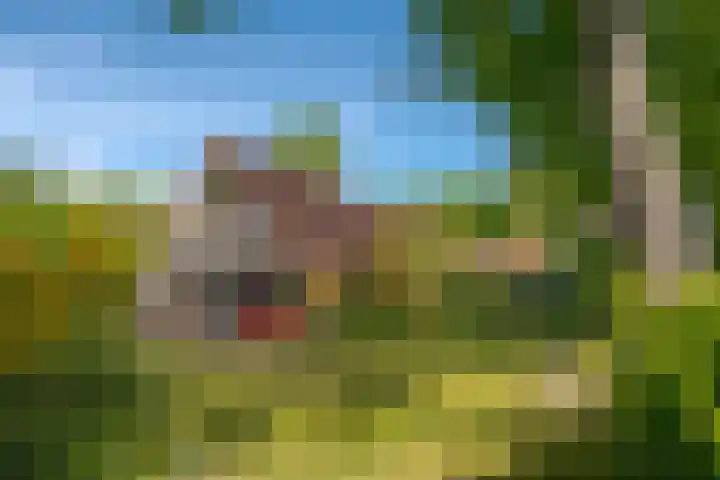Het Zwiggelterveld 44 Zwiggelte thumbnail 44