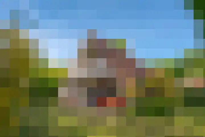 Het Zwiggelterveld 44 Zwiggelte thumbnail 5