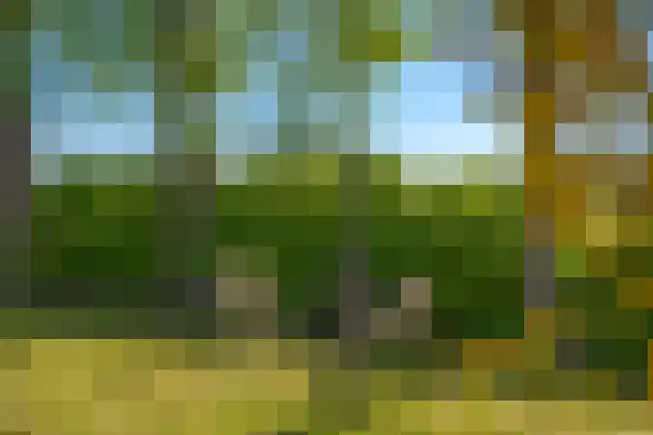 Het Zwiggelterveld 44 Zwiggelte thumbnail 6