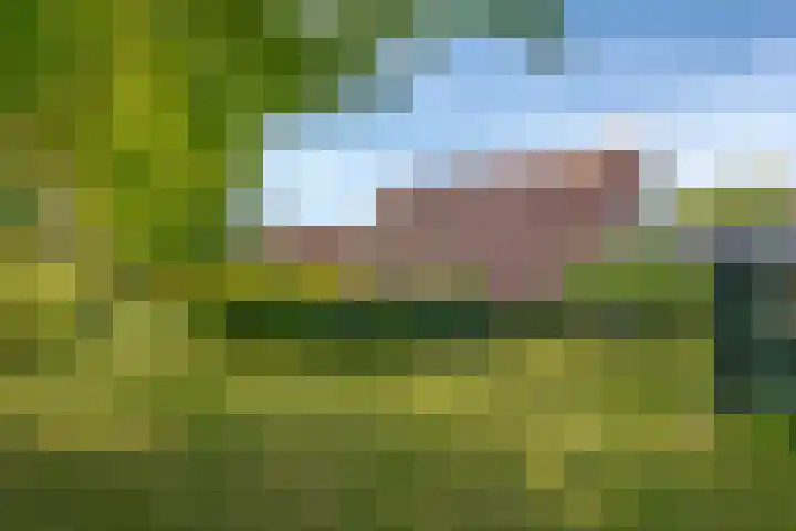 Het Zwiggelterveld 44 Zwiggelte thumbnail 7