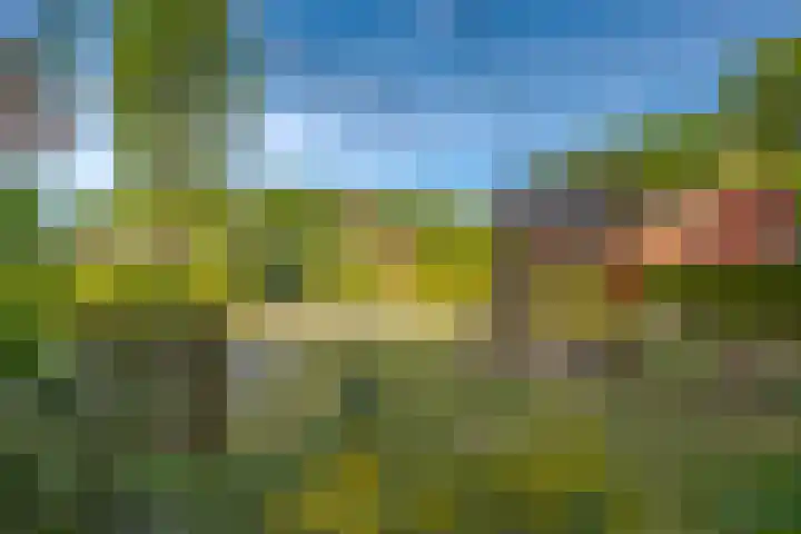 Het Zwiggelterveld 44 Zwiggelte thumbnail 8