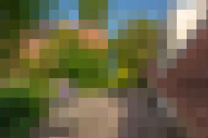 Het Zwiggelterveld 44 Zwiggelte thumbnail 9