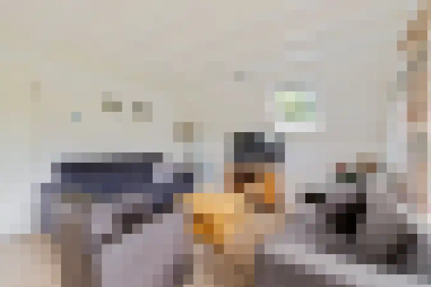 Het Zwiggelterveld 53 Zwiggelte thumbnail 10