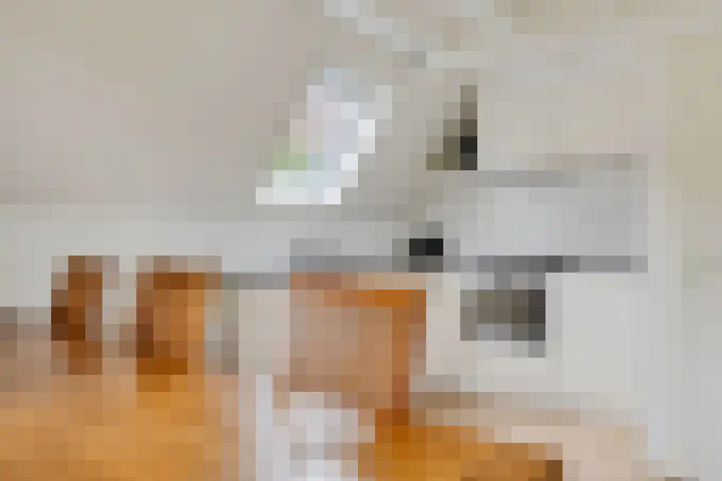 Het Zwiggelterveld 53 Zwiggelte thumbnail 12