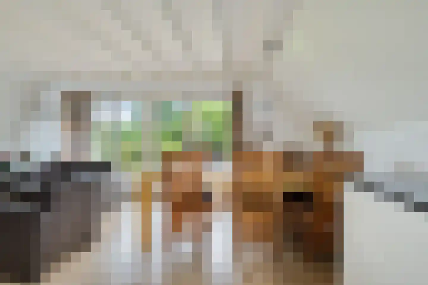 Het Zwiggelterveld 53 Zwiggelte thumbnail 13