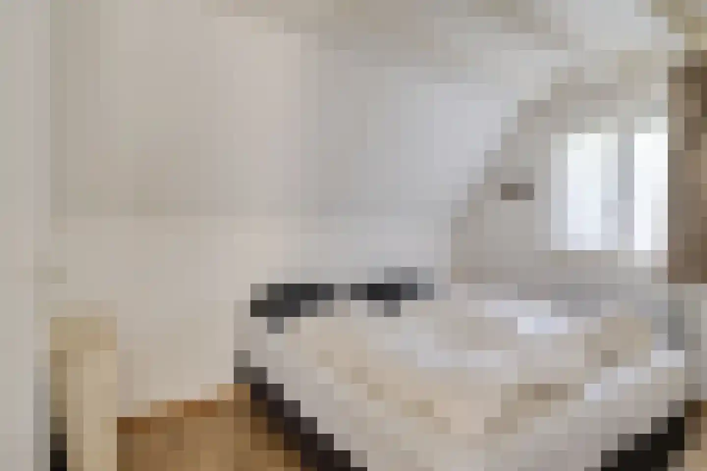 Het Zwiggelterveld 53 Zwiggelte thumbnail 15