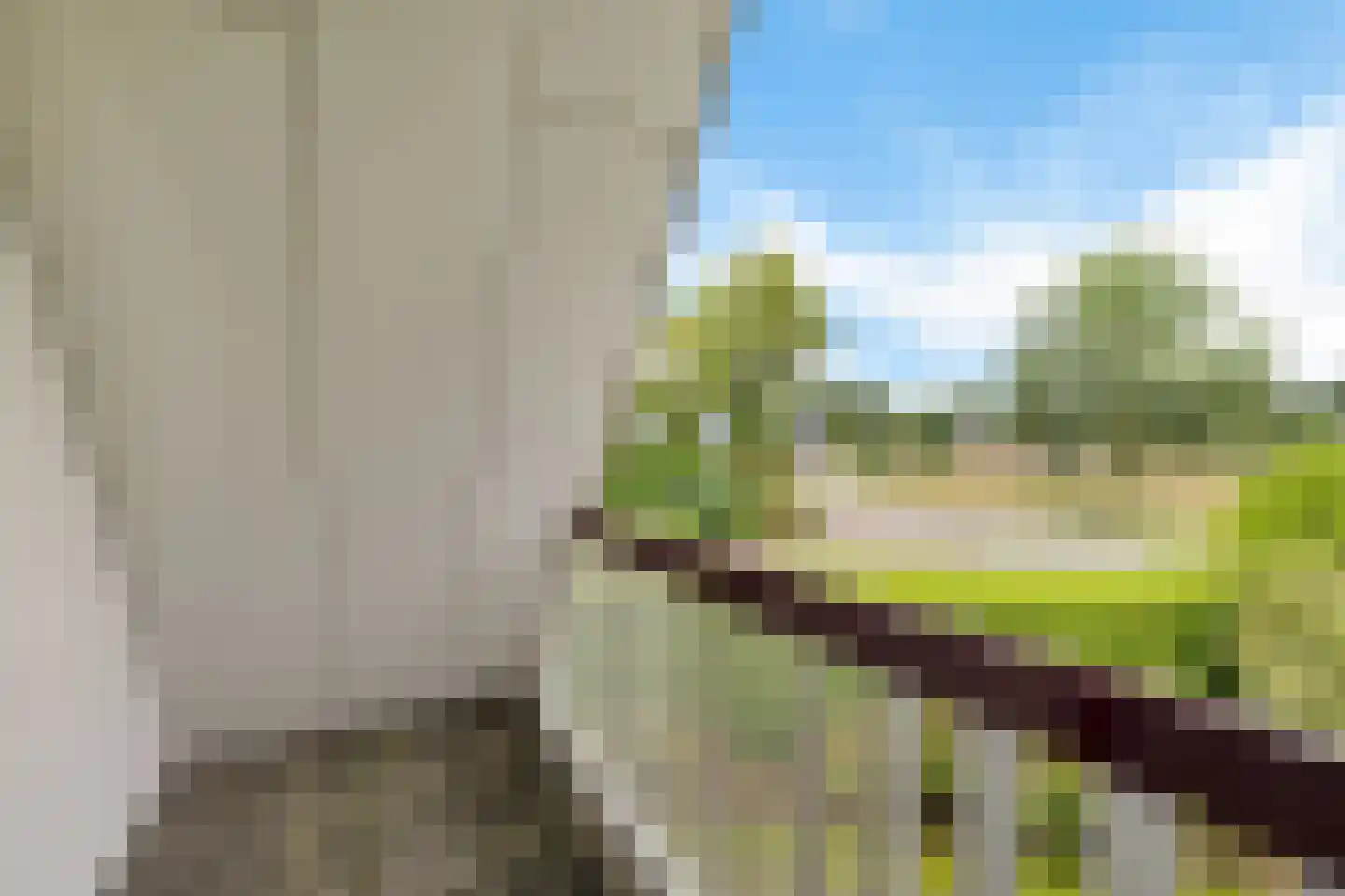 Het Zwiggelterveld 53 Zwiggelte thumbnail 24