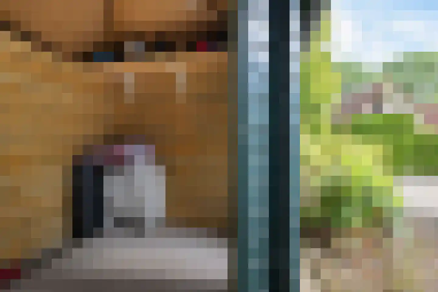 Het Zwiggelterveld 53 Zwiggelte thumbnail 26