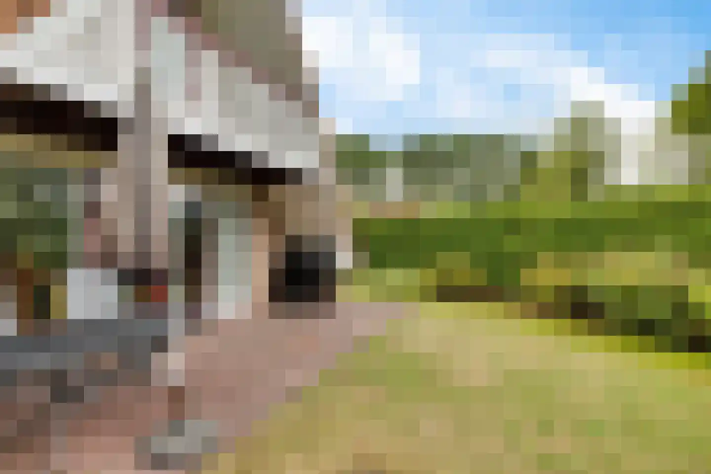 Het Zwiggelterveld 53 Zwiggelte thumbnail 28