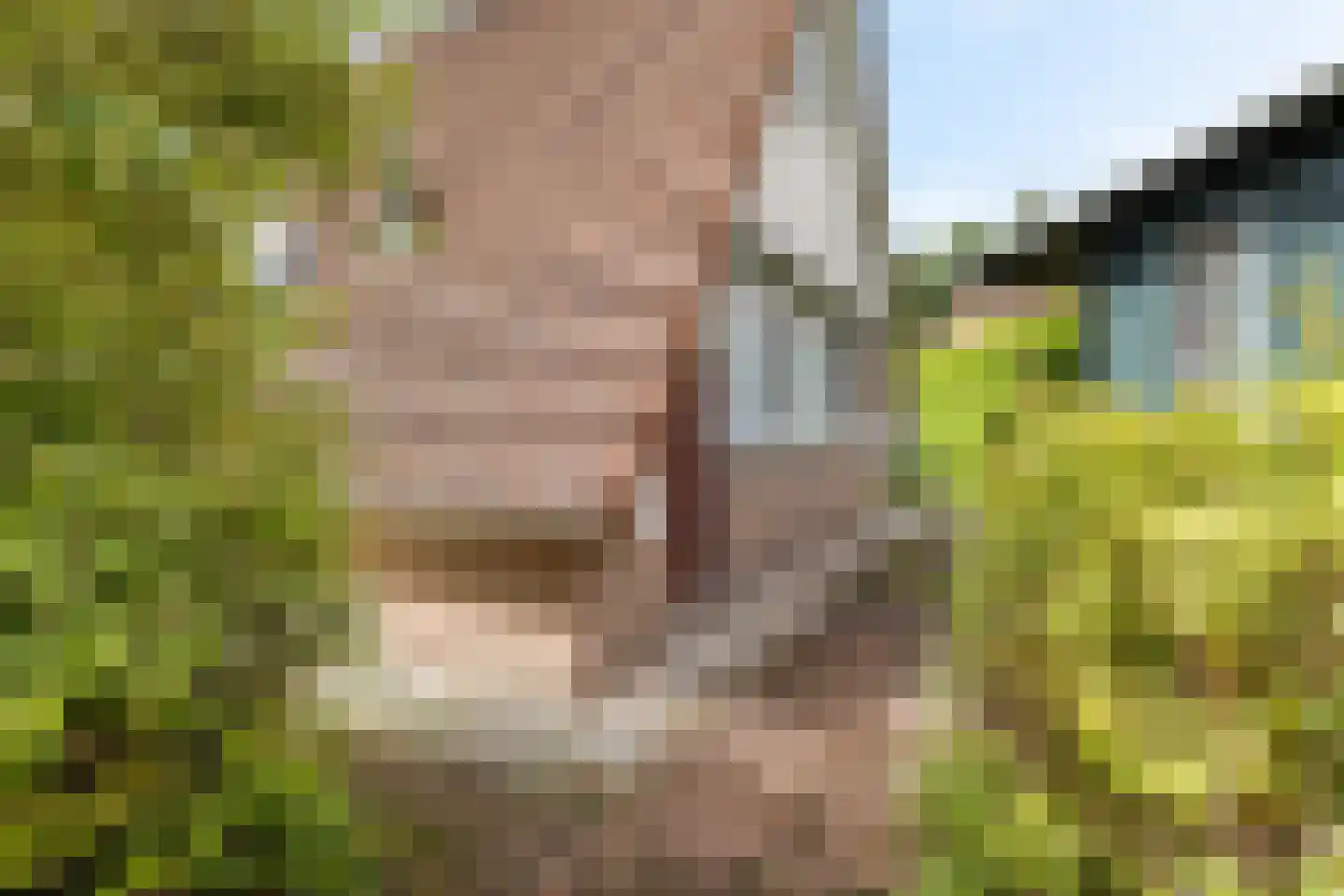 Het Zwiggelterveld 53 Zwiggelte thumbnail 29