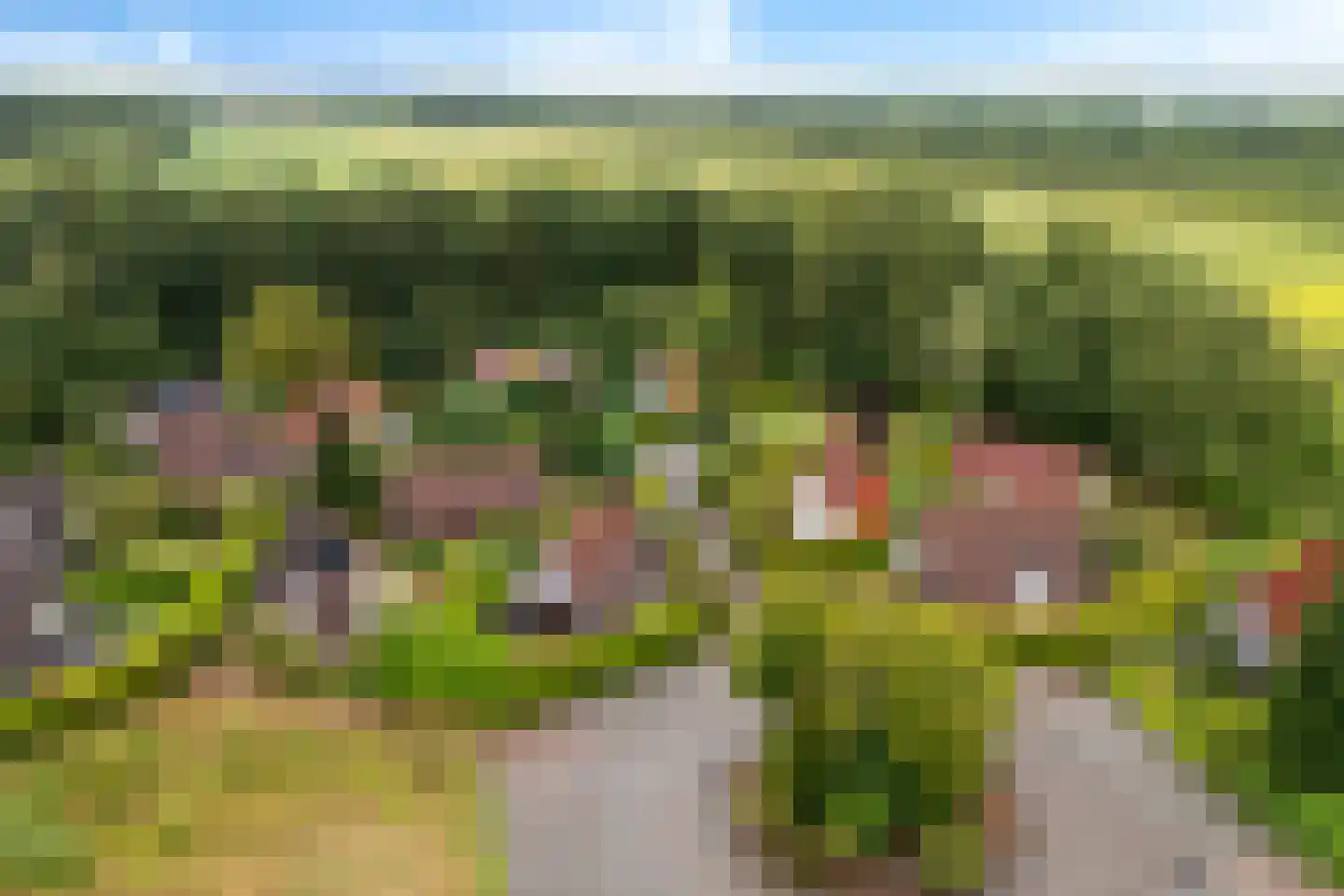 Het Zwiggelterveld 53 Zwiggelte foto 3