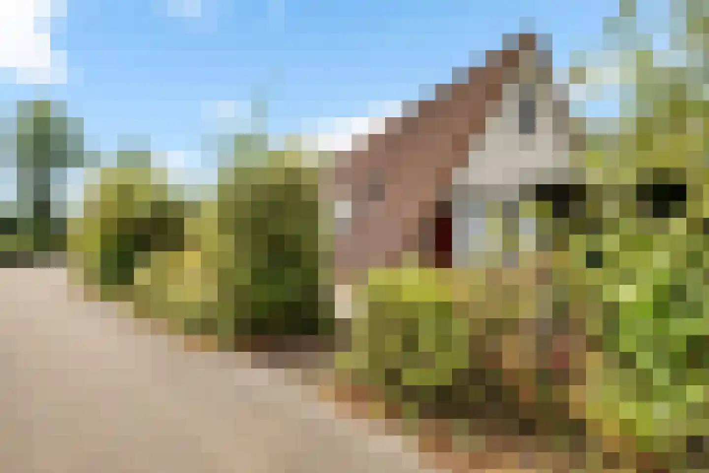 Het Zwiggelterveld 53 Zwiggelte thumbnail 30