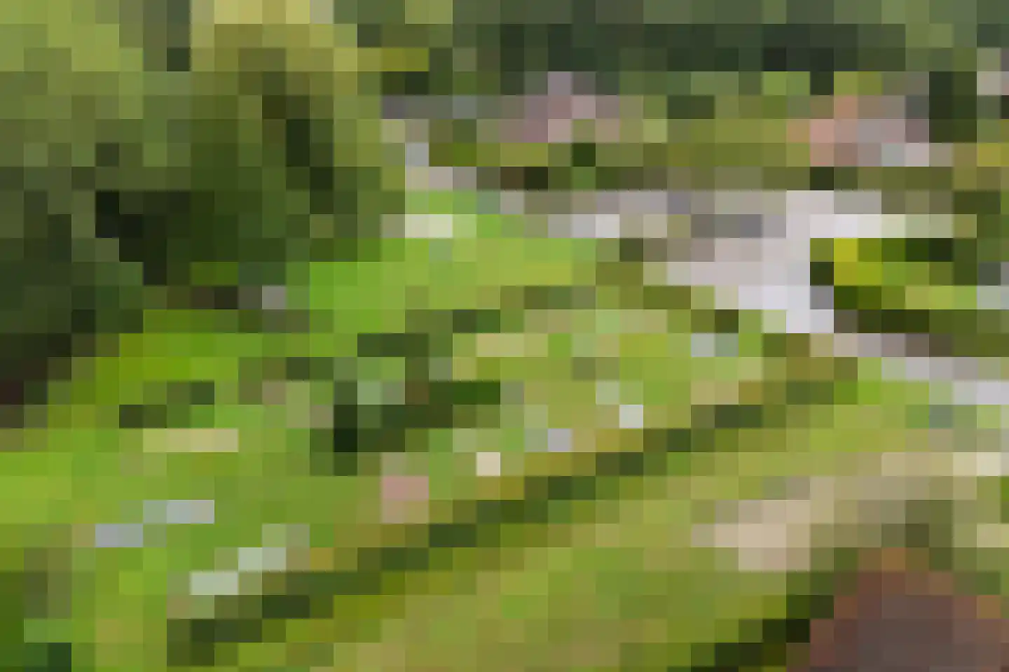 Het Zwiggelterveld 53 Zwiggelte thumbnail 35