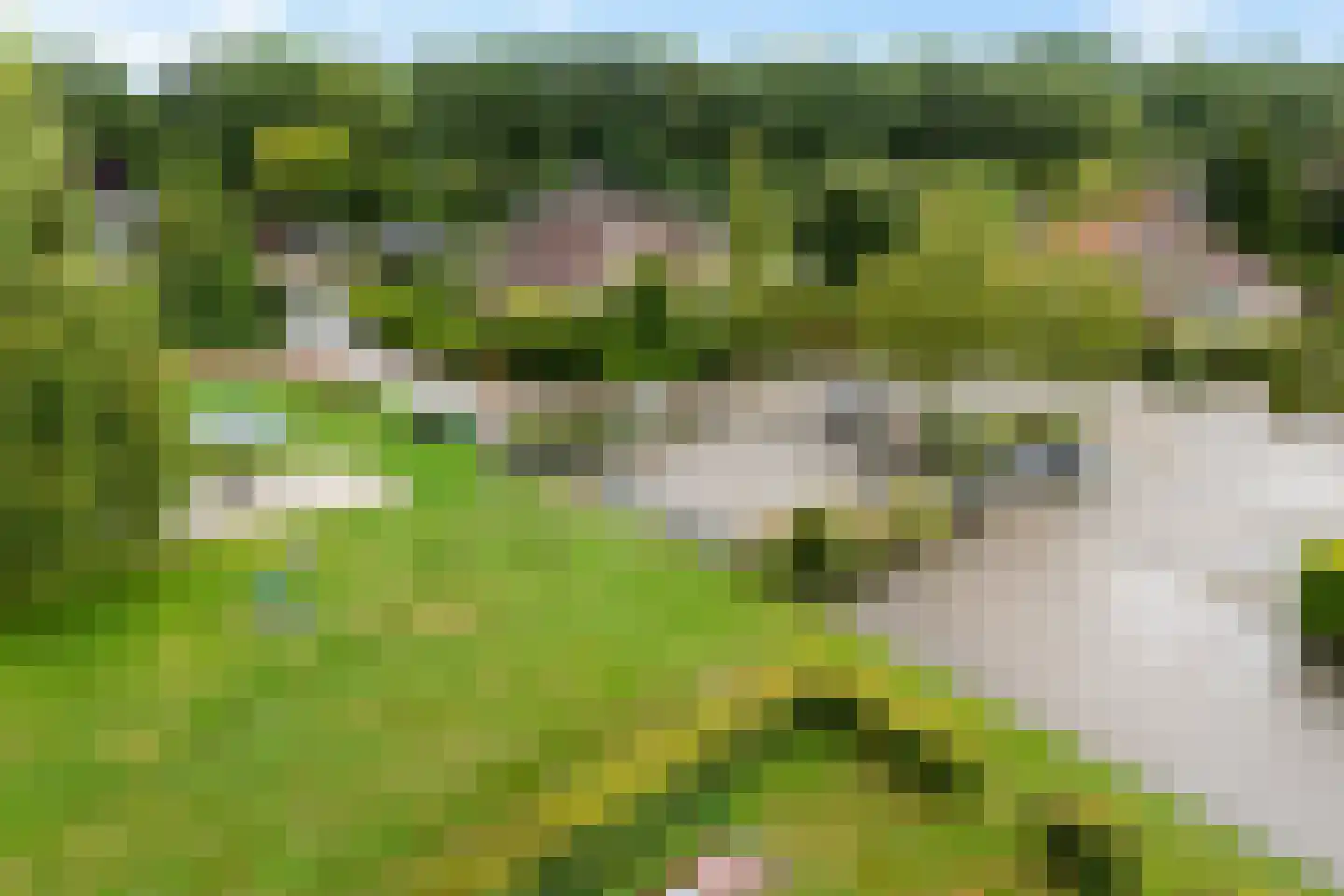 Het Zwiggelterveld 53 Zwiggelte thumbnail 36