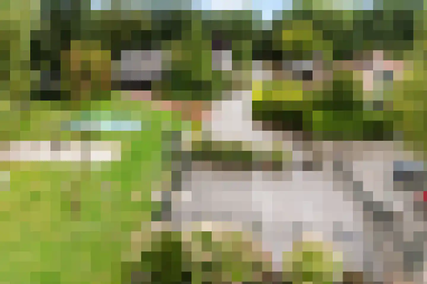 Het Zwiggelterveld 53 Zwiggelte thumbnail 37
