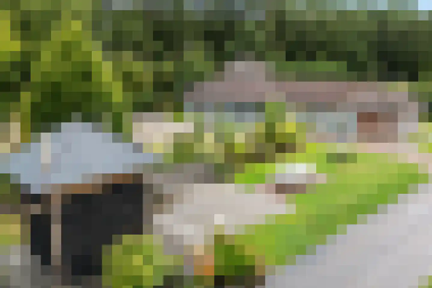 Het Zwiggelterveld 53 Zwiggelte thumbnail 38