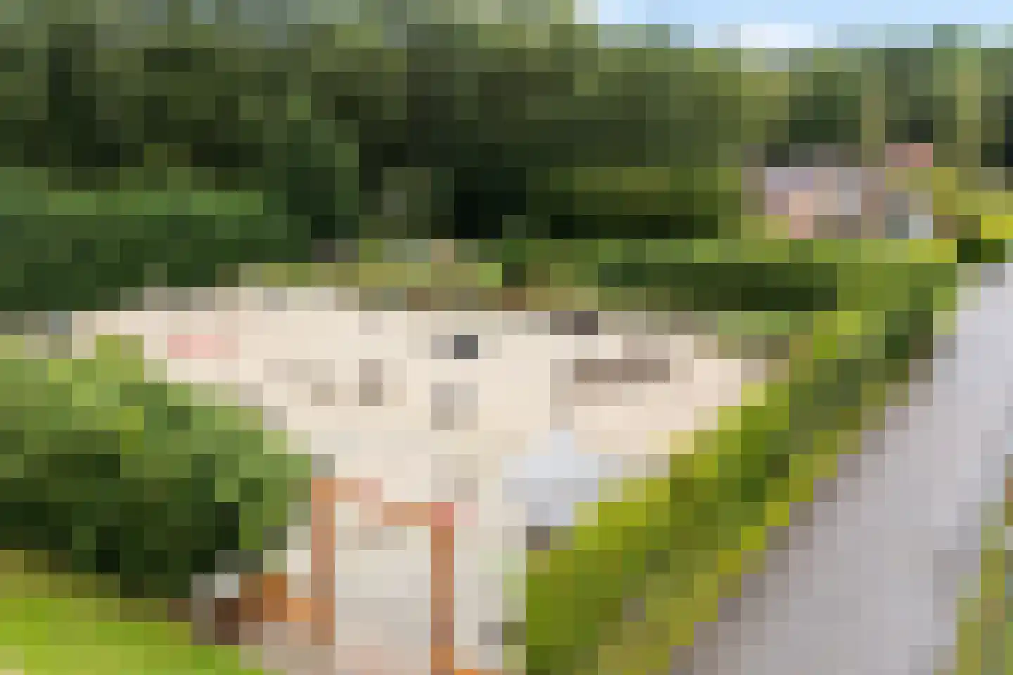 Het Zwiggelterveld 53 Zwiggelte thumbnail 39