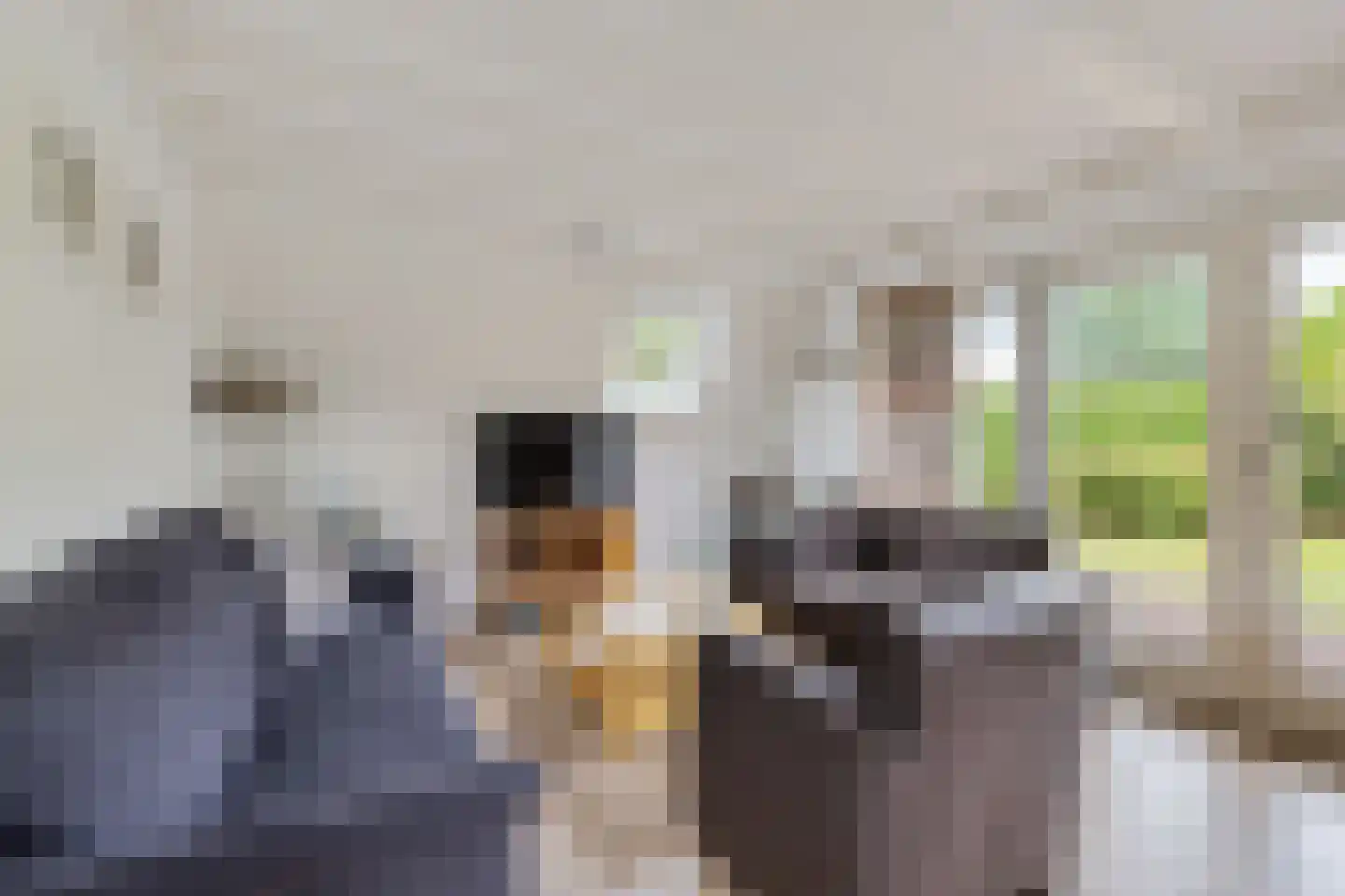 Het Zwiggelterveld 53 Zwiggelte thumbnail 8