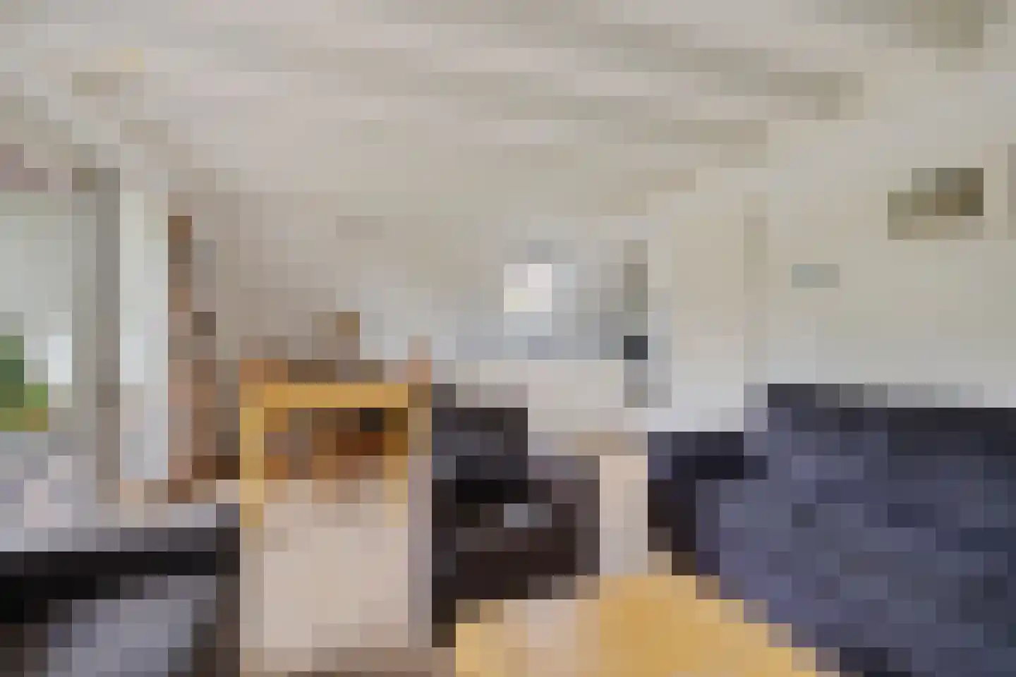 Het Zwiggelterveld 53 Zwiggelte thumbnail 9