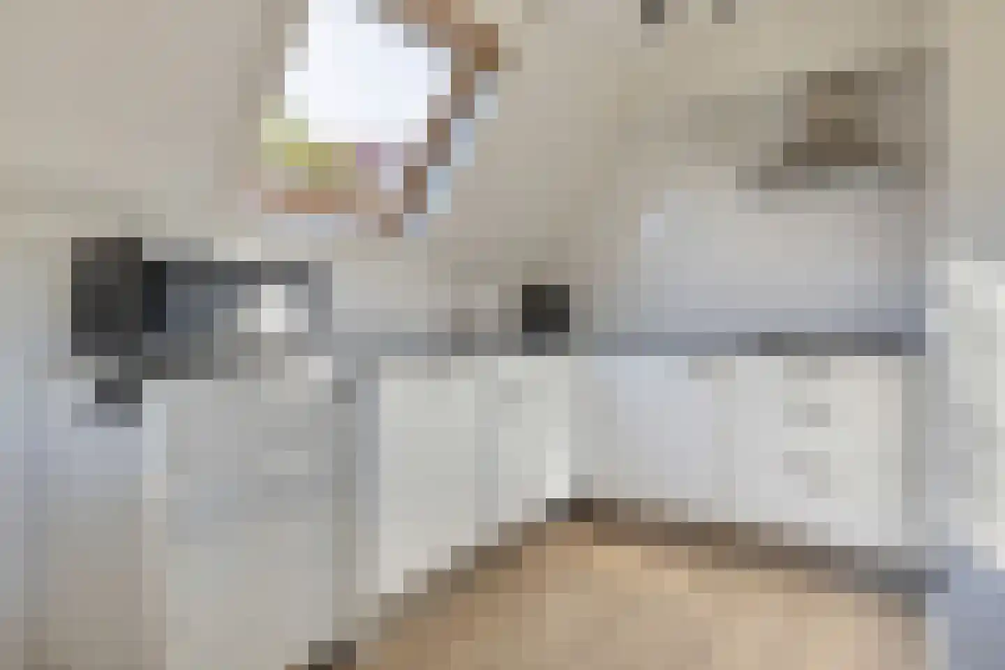 Het Zwiggelterveld 68 Zwiggelte thumbnail 10