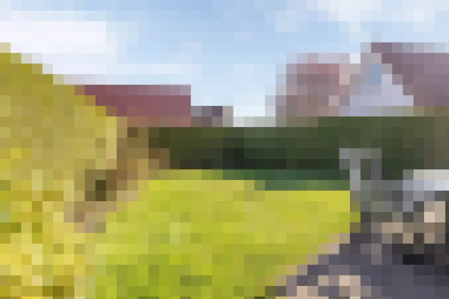 Het Zwiggelterveld 68 Zwiggelte thumbnail 24