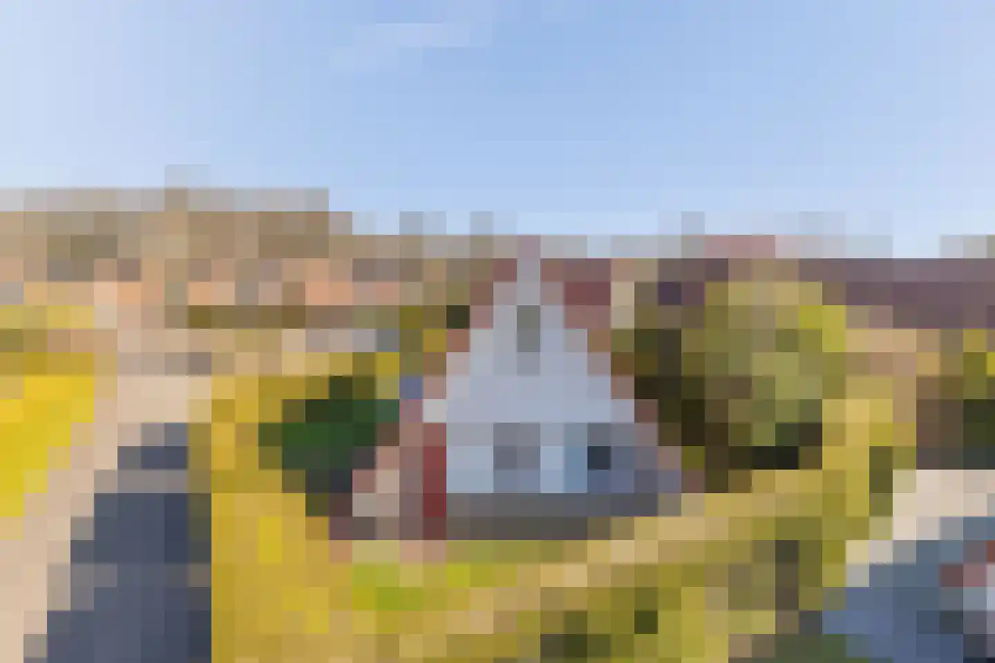 Het Zwiggelterveld 68 Zwiggelte thumbnail 29