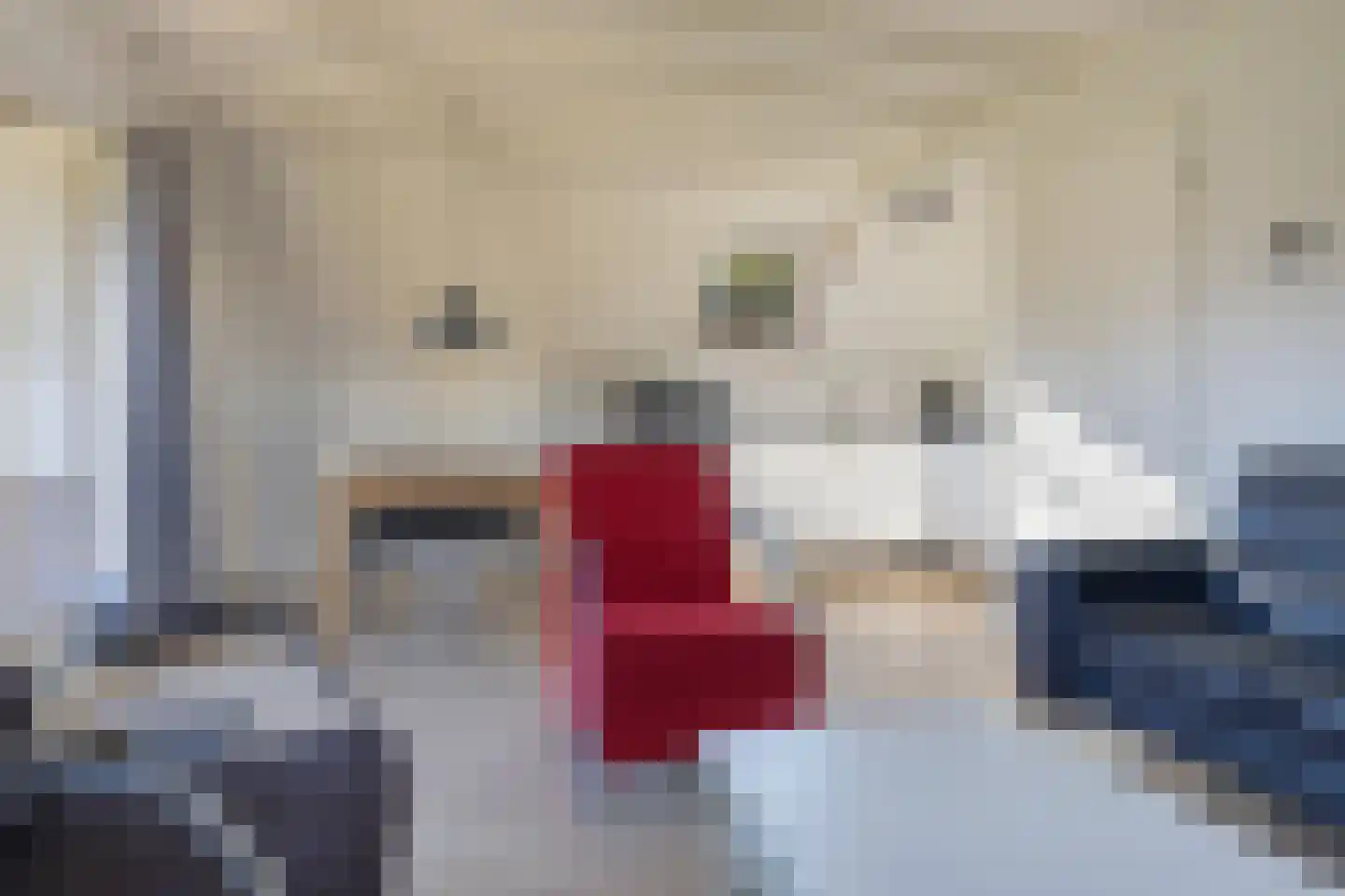 Het Zwiggelterveld 68 Zwiggelte thumbnail 7