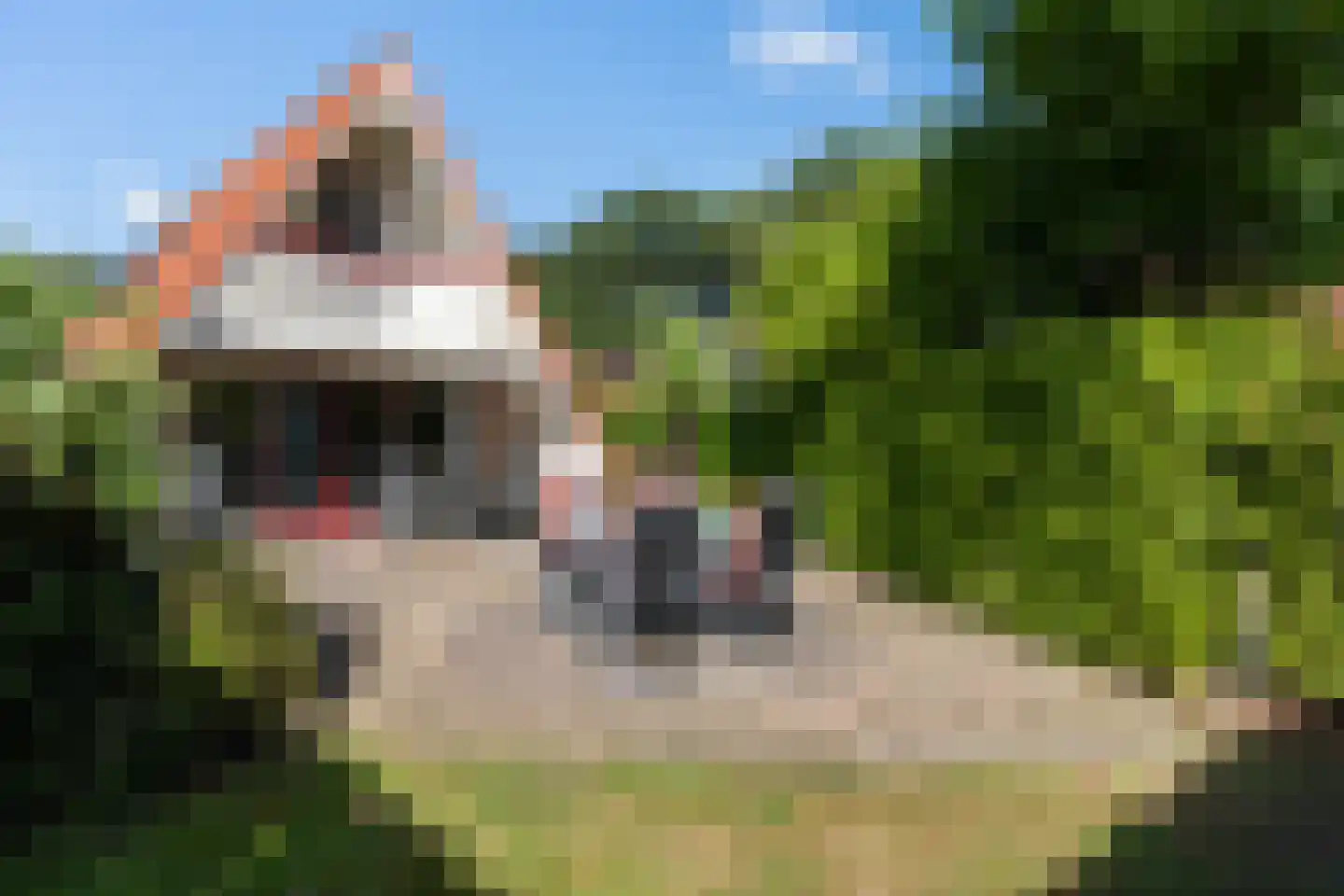 Het Zwiggelterveld 88 Zwiggelte