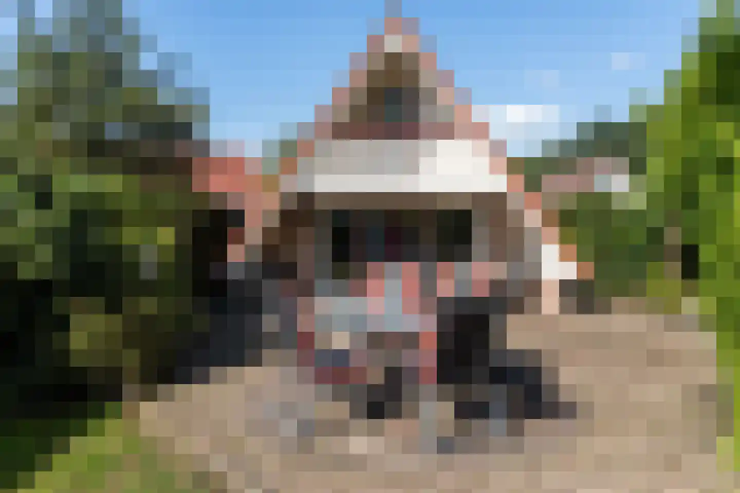 Het Zwiggelterveld 88 Zwiggelte thumbnail 22