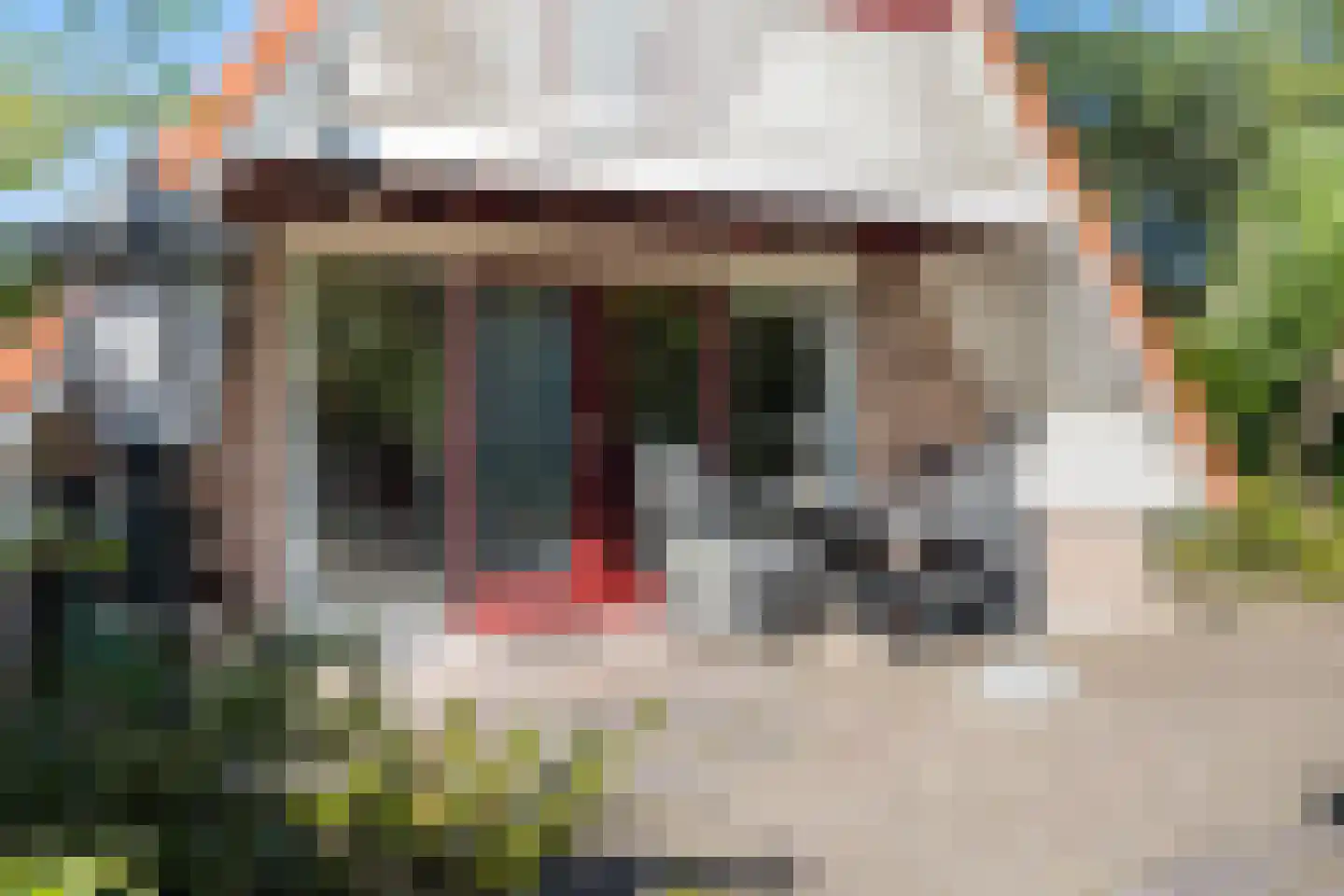Het Zwiggelterveld 88 Zwiggelte thumbnail 26