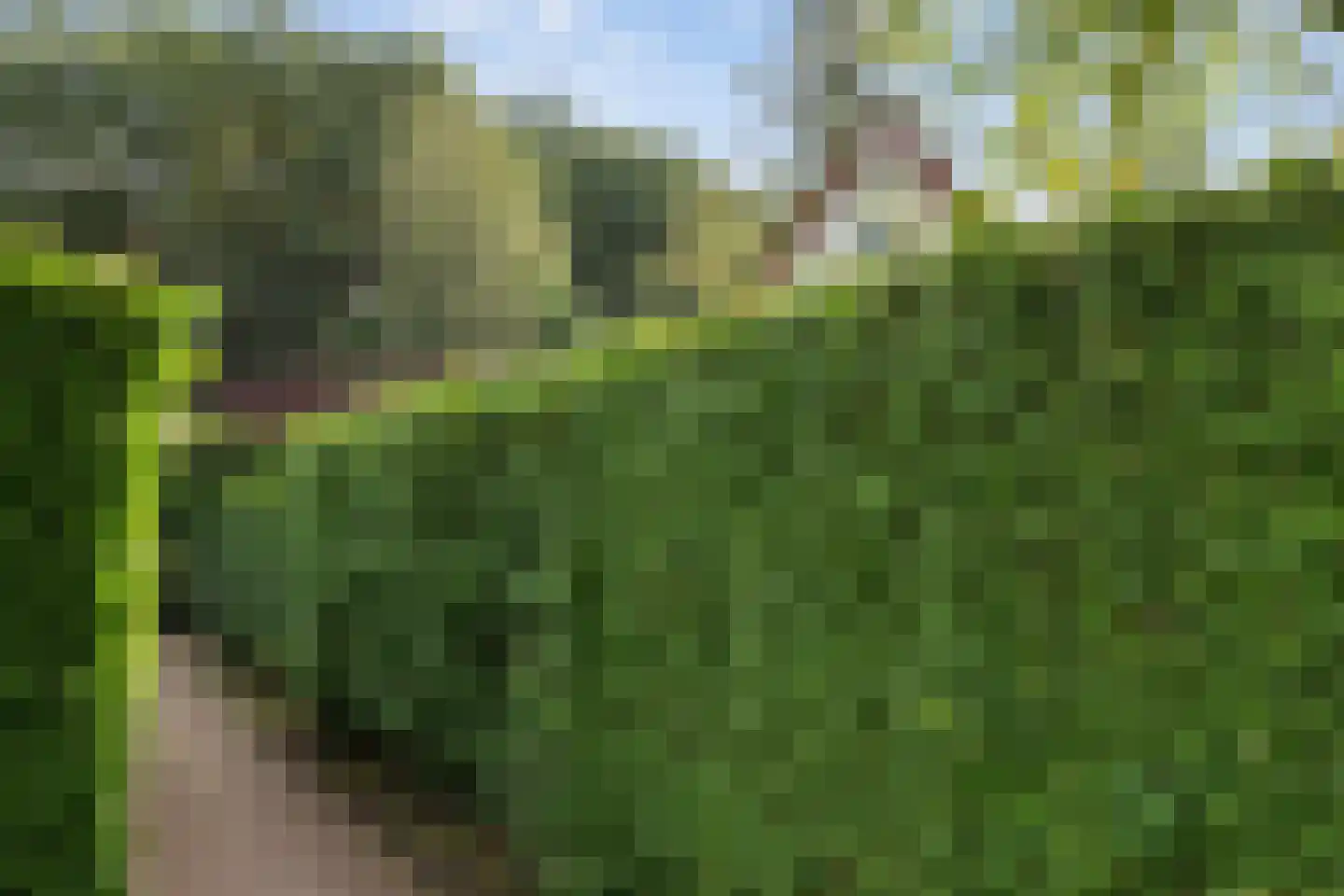 Het Zwiggelterveld 88 Zwiggelte thumbnail 27